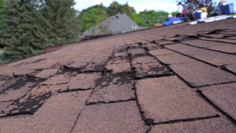 Best Metal Roofing Installation  in Pahokee, FL