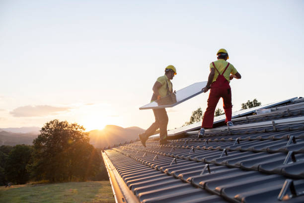 Best Roof Moss and Algae Removal  in Pahokee, FL