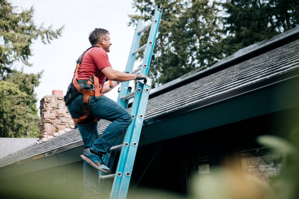 Best Sheet Metal Roofing  in Pahokee, FL