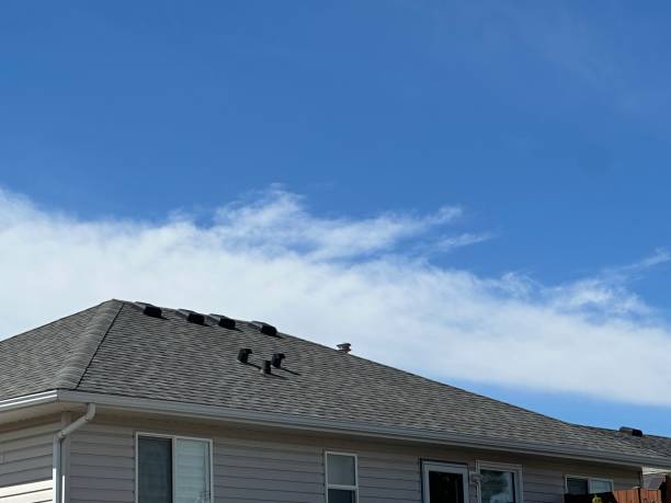Roof Insulation in Pahokee, FL